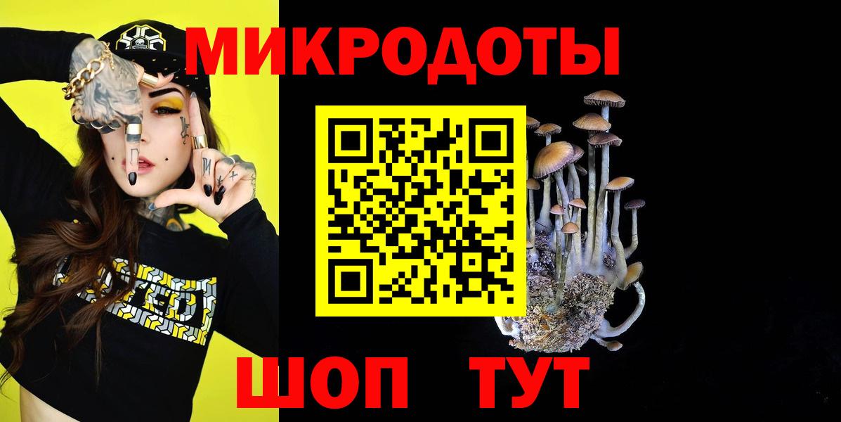 Камышлов  Галлюциногенные грибы MAGIC MUSHROOMS  что такое   Вход с VPN 